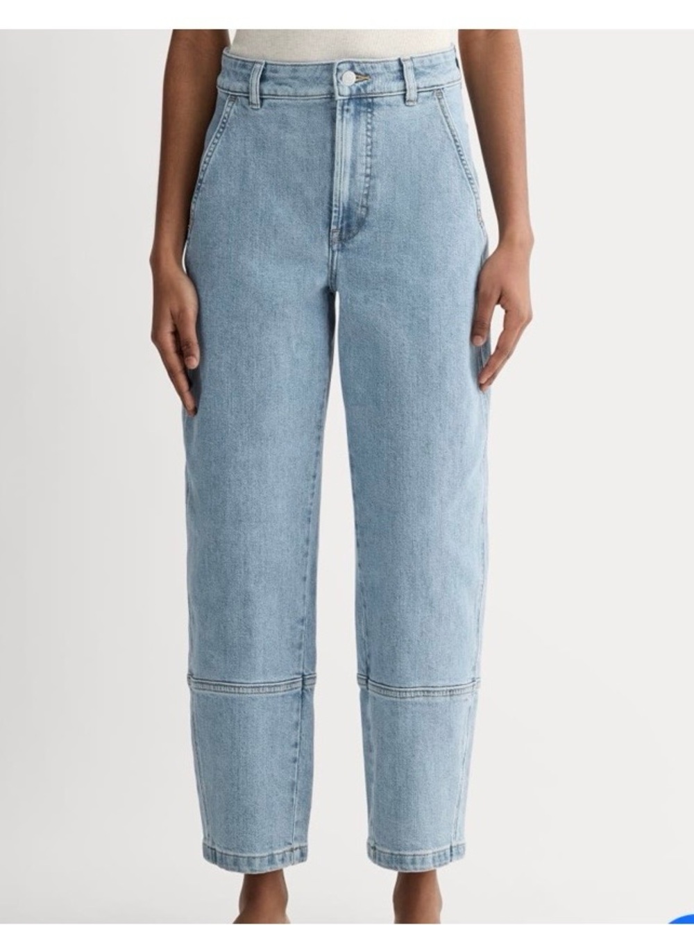 Everlane The Utility Barrel Jean Blue Size 31R